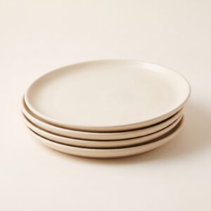 Matte Dinner Plates (Set of 4)